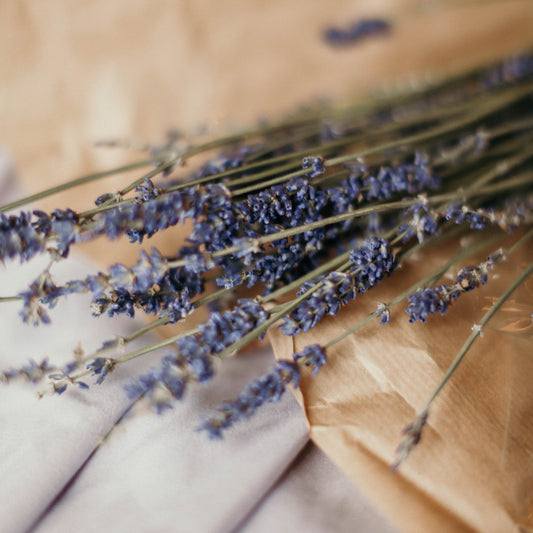 5 Surprising Benefits of Lavender Oil in Foaming Hand Soap